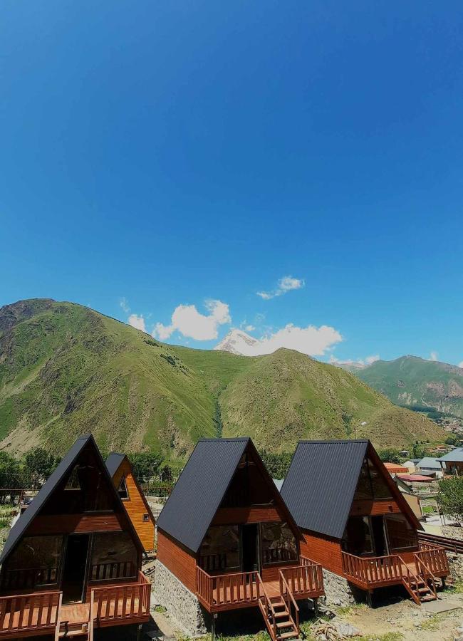 Trip Zone Kazbegi Apartment Ngoại thất bức ảnh