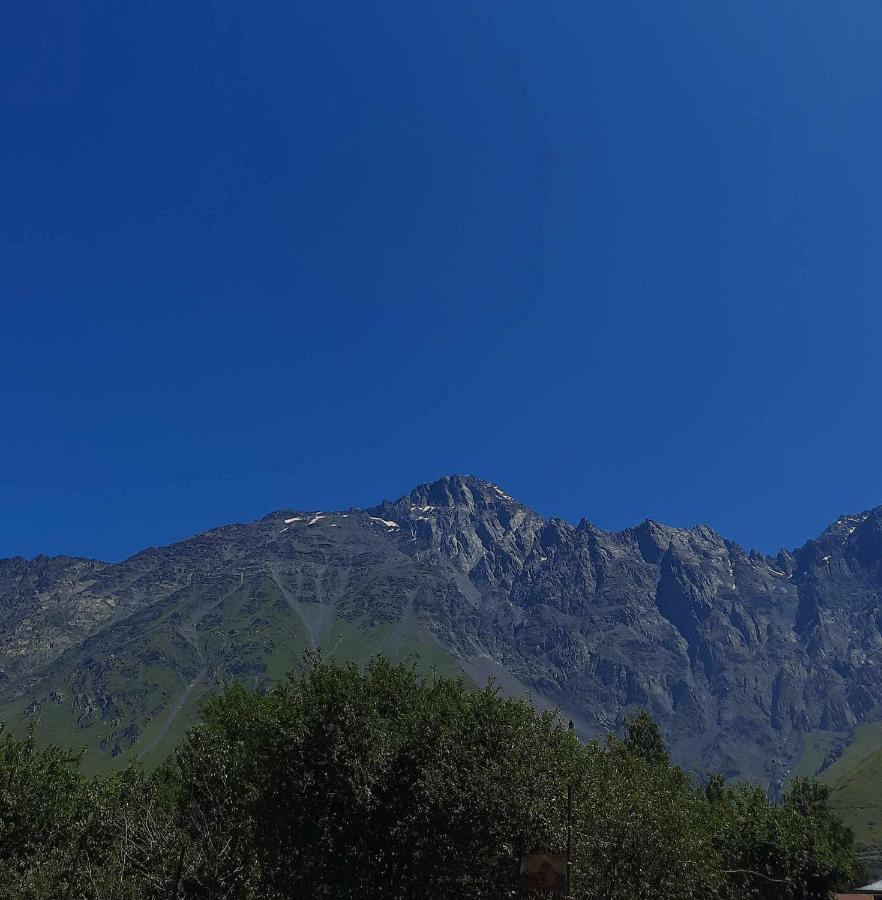Trip Zone Kazbegi Apartment Ngoại thất bức ảnh