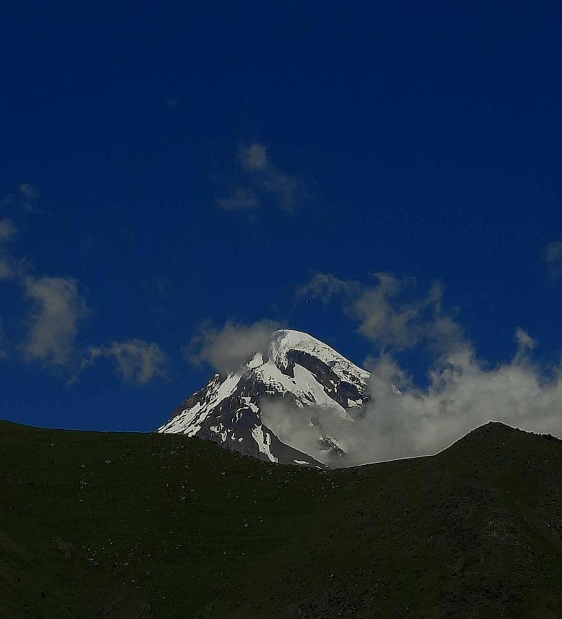 Trip Zone Kazbegi Apartment Ngoại thất bức ảnh