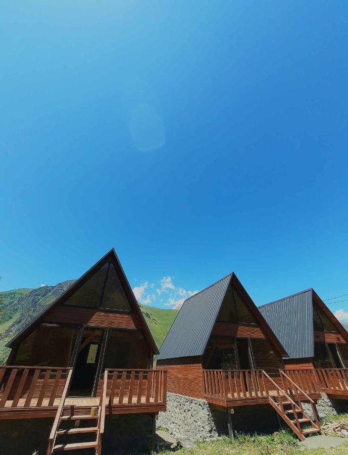 Trip Zone Kazbegi Apartment Ngoại thất bức ảnh