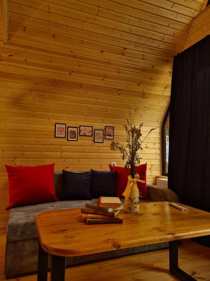 Trip Zone Kazbegi Apartment Ngoại thất bức ảnh