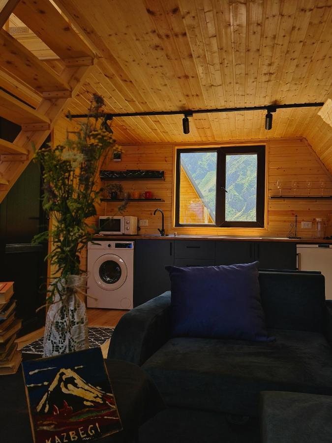 Trip Zone Kazbegi Apartment Ngoại thất bức ảnh
